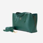 Carryall Mini – Forest Green - Image 2